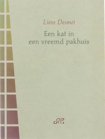 Kat in een vreemd pakhuis 9789050711265 Desmet, Verzenden, Gelezen, Desmet