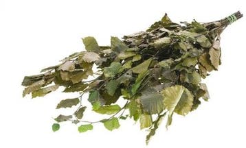 Geprepareerd Gepreserveerd Beukenblad Fagus 75 cm 150 gr, Nieuw