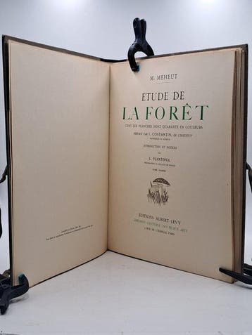 Mathurin Méheut - Étude de la forêt - 1927, Antiek en Kunst