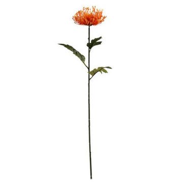 Protea Oranje Zijdenbloem 75 cm per stuk, Maison & Meubles, Accessoires pour la Maison | Plantes & Fleurs artificielles