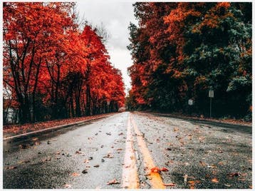 Fabian Kimmel - New York City Fall II - Series of 6, New