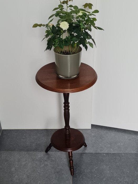Table à plantes - Support de plante élégant en bois / table, Antiquités & Art, Curiosités & Brocante