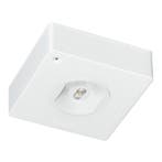 Famostar CELO Luminaire De Secours - 393216, Verzenden, Nieuw