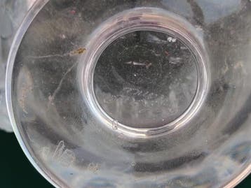 Lalique - Marc Lalique - Vase (2) - Dampierre - Cristal, Antiquités & Art