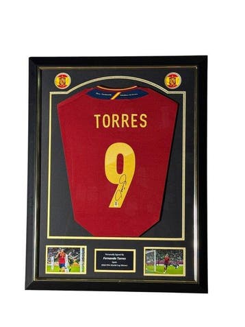 Spain - Wereldkampioenschap Voetbal - Fernando Torres - 2011, Nieuw