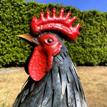 Sculpture, Schitterende haan XL - 55.5 cm - Fer