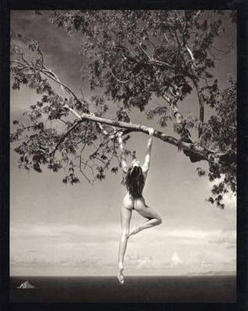 Patrick Demarchelier: Photographs 9780821225141, Boeken, Verzenden, Zo goed als nieuw, Patrick Demarchelier