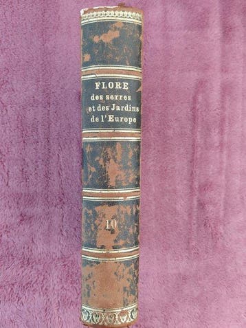 Louis van Houtte - Flore des Serres et des Jardins de