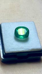1 pcs Vert Émeraude - 3.67 ct - International Gemological, Handtassen en Accessoires, Edelstenen, Nieuw