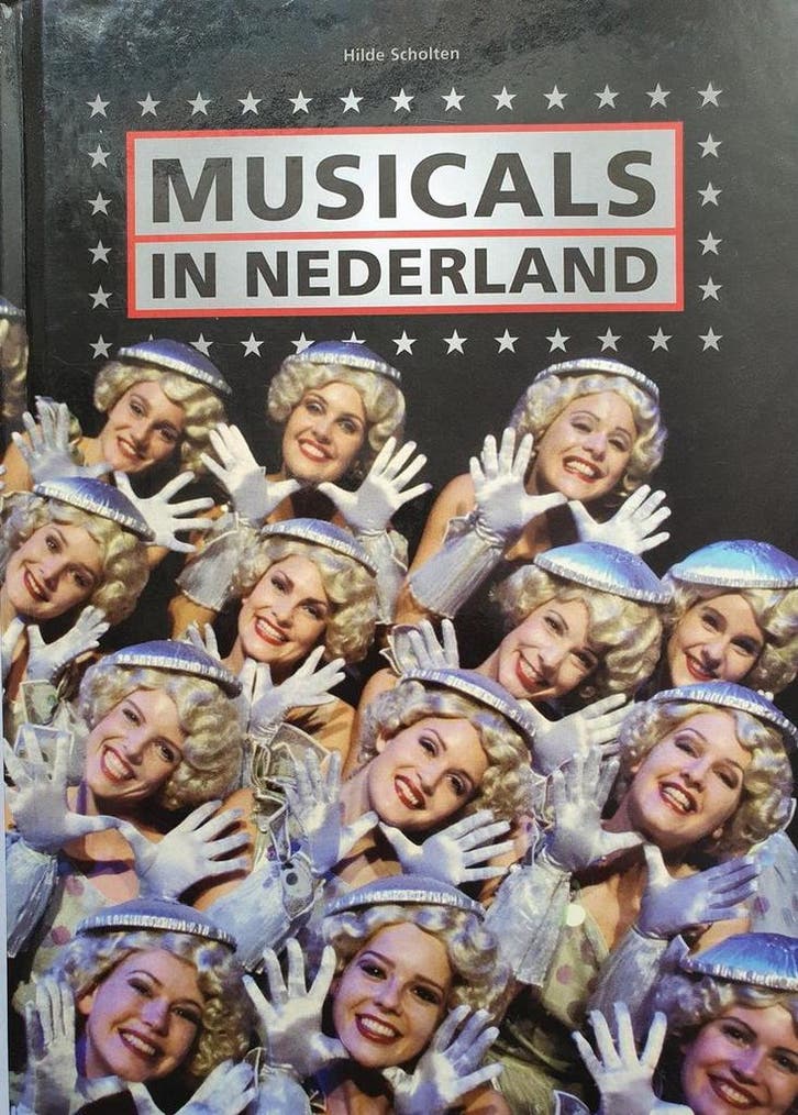 Musicals in Nederland 9789058971456 H. Scholten, Boeken, Kunst en Cultuur | Dans en Theater, Zo goed als nieuw, Verzenden