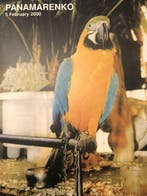 Panamarenko (1940-2019) - Verjaardagskaart 60 jaar, Antiek en Kunst, Kunst | Tekeningen en Fotografie