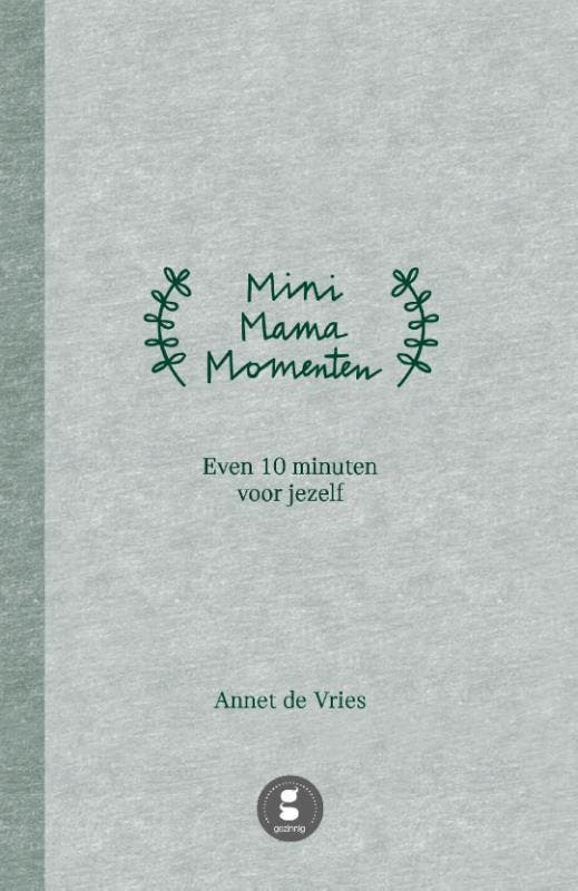 Mini Mama momenten 9789082881417 Annet de Vries, Boeken, Hobby en Vrije tijd, Zo goed als nieuw, Verzenden
