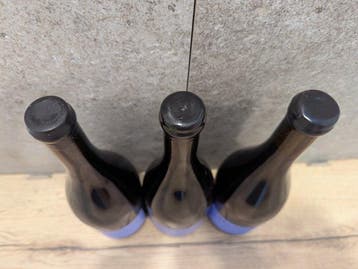 2018 2019 & 2021 Sylvain Pataille LAncestrale - Marsannay, Nieuw
