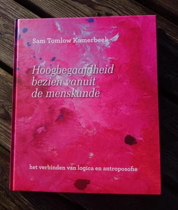 Hoogbegaafdheid bezien vanuit de menskunde 9789090306148, Boeken, Verzenden, Zo goed als nieuw, Sam Tomlow Kamerbeek