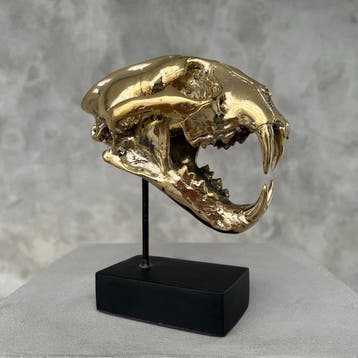 Sculpture, NO RESERVE PRICE - Polished Bronze Snow Leopard, Antiek en Kunst
