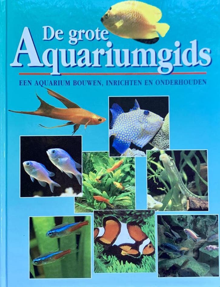 GROTE AQUARIUMGIDS 9783829067621 Willemien Werkman, Livres, Loisirs & Temps libre, Envoi