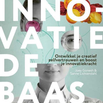 Innovatie de baas 9789492528933 Sanne Lichtendahl, Verzenden, Sanne Lichtendahl