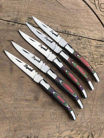 Keukenmes - Kitchen knife set - Laguiole Bougna Met Bee
