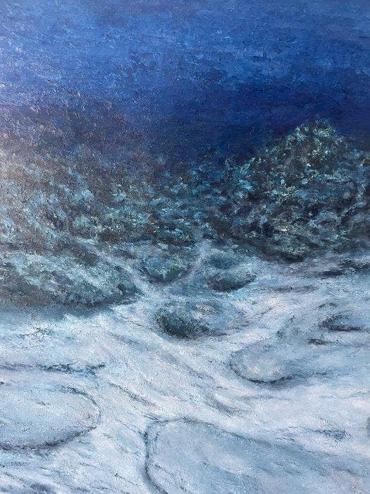Felipe Costa - Silence Below the Surface, Antiek en Kunst, Kunst | Schilderijen | Modern