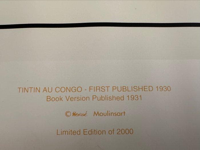 Hergé - Sérigraphie Moulinsart - Tintin au Congo, Boeken, Stripverhalen