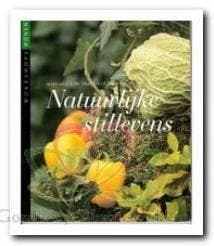 Natuurlijke stillevens Magreet de Vries boek groendecoratie, Maison & Meubles, Accessoires pour la Maison | Plantes & Fleurs artificielles