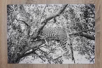 Marco Simoni - 4.5 tree - XL, Antiek en Kunst