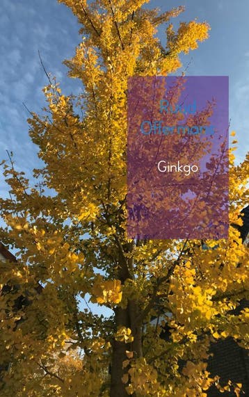 Ginkgo 9789461938671 Ruud Offermans, Verzenden, Zo goed als nieuw, Ruud Offermans