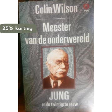 Meester van de onderwereld 9789062290079 Sloan Wilson, Verzenden, Gelezen, Sloan Wilson