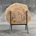 Magnifique tranche de bois pétrifié sur un socle