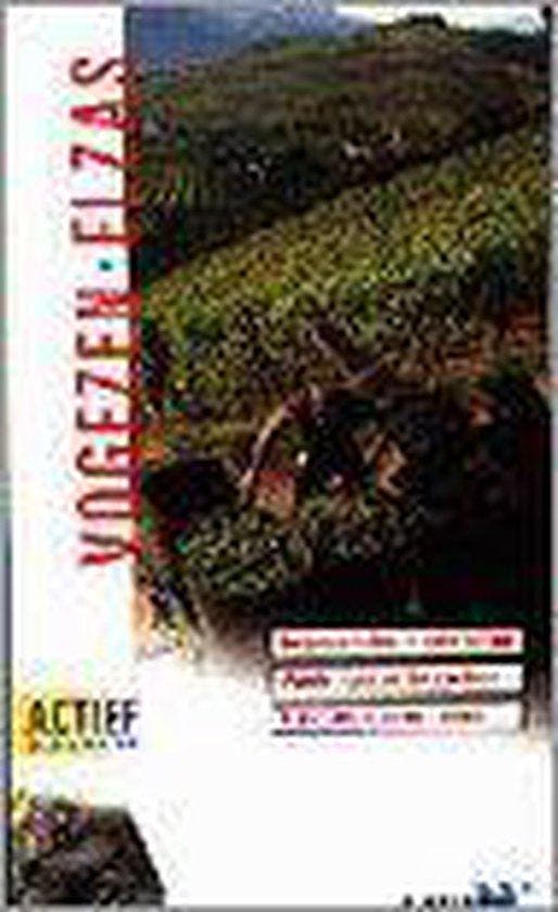 Vogezen en Elzas / ANWB actief & anders 9789018007799, Boeken, Reisgidsen, Gelezen, Verzenden