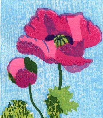 Un léger parfum - coquelicot - Hamaguchi Kanako - 2024 -