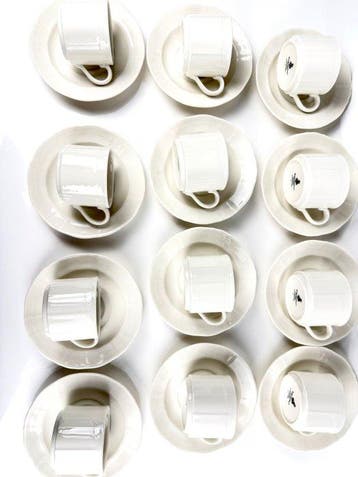 Royal Doulton - Service à thé (24) - Os