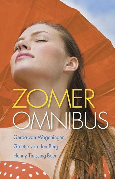 Zomeromnibus 2013 9789020533224 Henny Thijssing-Boer, Boeken, Romans, Gelezen, Verzenden