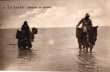 België - DE PANNE - Ansichtkaart (150) - 1905-1950, Gelopen