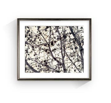 Jorge Omeñaca - Pollock tree