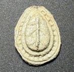 Oud-Romeins Lood Aantrekkelijk bord met een afbeelding van