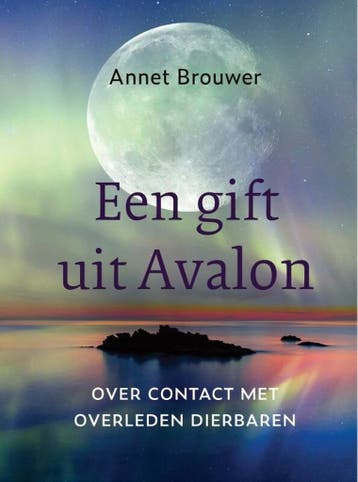 Een gift uit Avalon 9789493175846 Annet Brouwer, Verzenden, Annet Brouwer