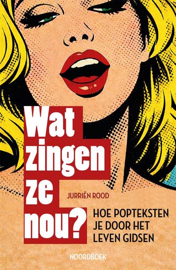 Wat zingen ze nou? 9789464714845 Jurriën Rood, Verzenden, Jurriën Rood