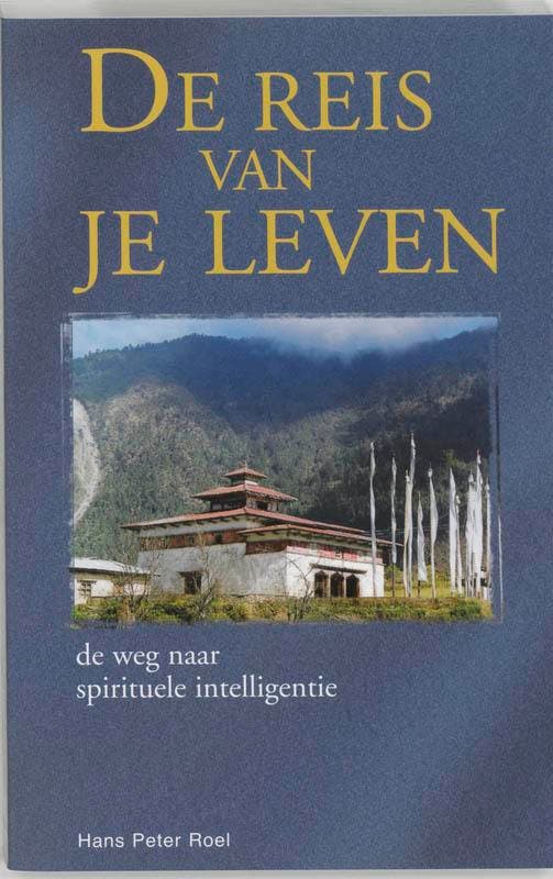 De reis van je leven 9789055991198 H.P. Roel, Livres, Psychologie, Envoi