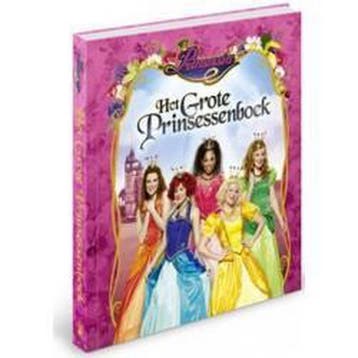 De Prinsessenschool / Prinsessia / 2 9789462771109, Verzenden, Zo goed als nieuw, Gert Verhulst