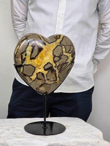 Hartvormige Septarian-steen - houder inbegrepen Hart -
