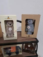 Steiff - Teddybeer Steiff Club Teddybären - 2000-2010 -