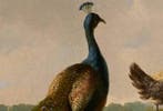 Albertus Verhoesen (1806-1881) - Poultry by a ruin