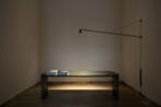 Bernhard Osann - Lamp - SWAN Plus - Metaal, Antiek en Kunst