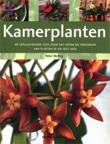 Kamerplanten - Mchoy, Verzenden