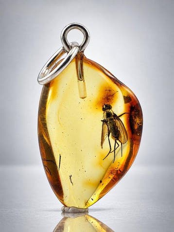 Uitzonderlijke gouden Baltische amberhanger – HORSE FLY met