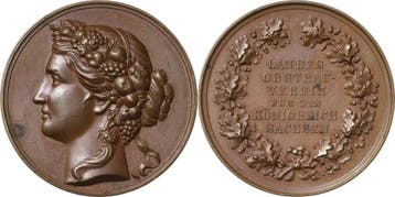 Brons medaille ohne Jahr Sachsen-medaille, Verzenden, België