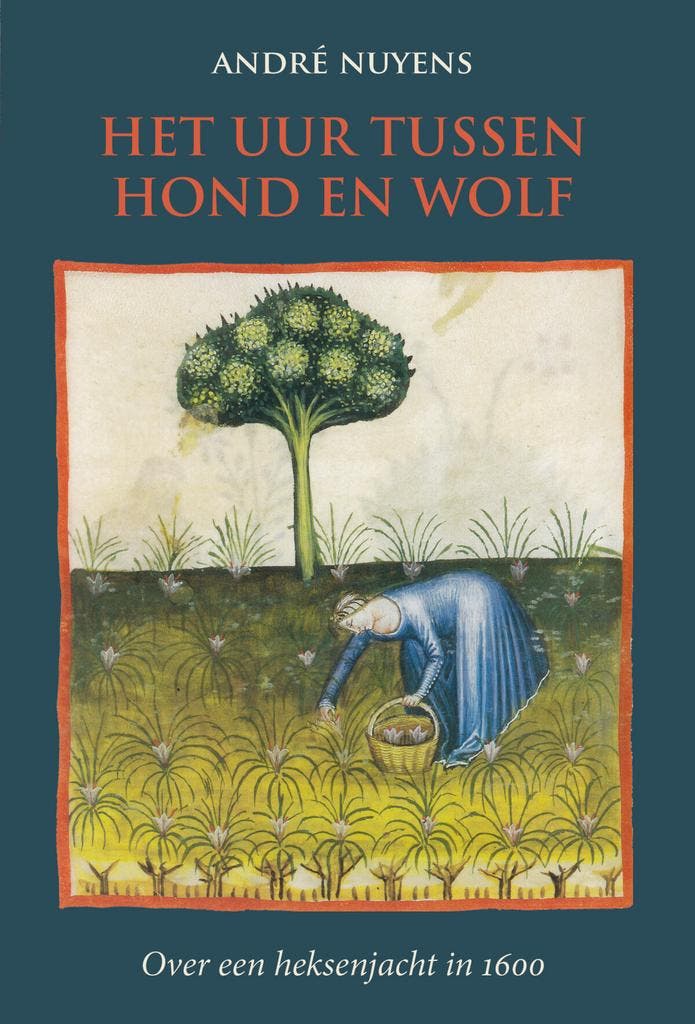 Het uur tussen hond en wolf 9789083158662 André Nuyens, Livres, Livres Autre, Envoi