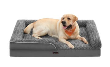 Feandrea Orthopedisch hondenbed voor grote honden, waterd..., Dieren en Toebehoren, Ophalen of Verzenden, Nieuw