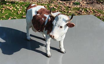 Beeld, Realistisch koeienbeeld - 30 cm - resin